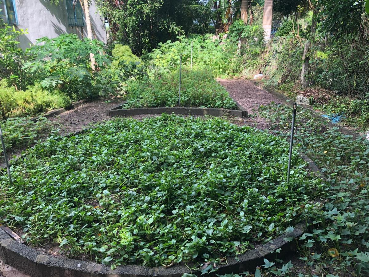 Huong Tram Homestay Ho Da Exterior photo